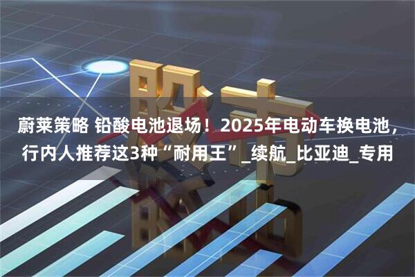 蔚莱策略 铅酸电池退场！2025年电动车换电池，行内人推荐这3种“耐用王”_续航_比亚迪_专用