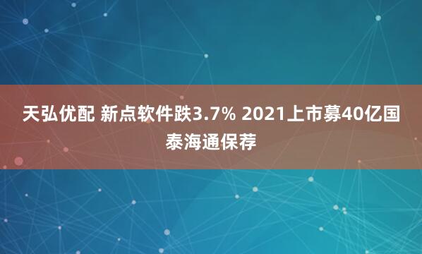 天弘优配 新点软件跌3.7% 2021上市募40亿国泰海通保荐