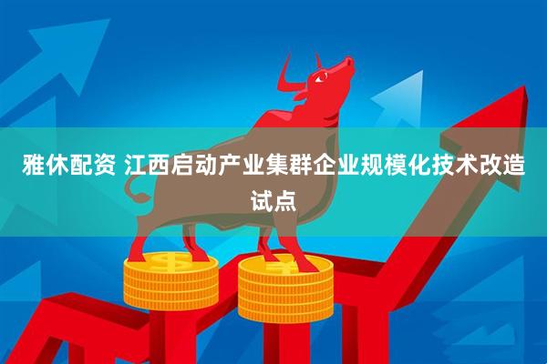 雅休配资 江西启动产业集群企业规模化技术改造试点
