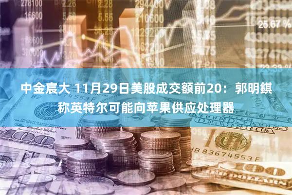中金宸大 11月29日美股成交额前20：郭明錤称英特尔可能向苹果供应处理器