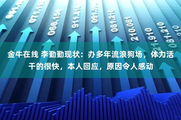 金牛在线 李勤勤现状:办多年流浪狗场,体力活干的很快,本人回应,原因令人感动