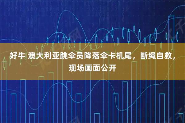 好牛 澳大利亚跳伞员降落伞卡机尾，断绳自救，现场画面公开