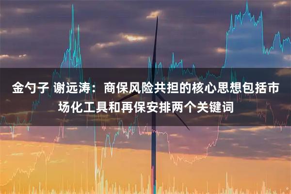 金勺子 谢远涛：商保风险共担的核心思想包括市场化工具和再保安排两个关键词
